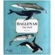 BALLENAS. VIDA SECRETA