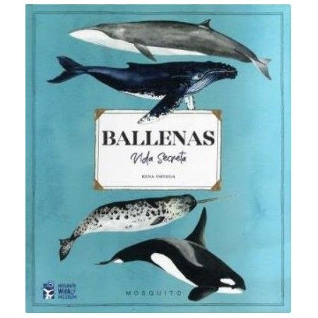 BALLENAS. VIDA SECRETA