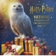 HARRY POTTER HEDWIG CALENDARIO DE ADVIENTO POP-UP