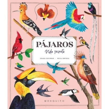 PÁJAROS VIDA SECRETA