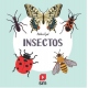 INSECTOS