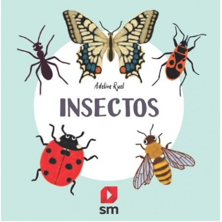 INSECTOS