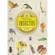 Insectos. Colección de curiosidades