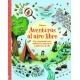 Aventuras al aire libre
