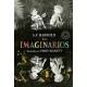 Los imaginarios