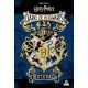 Harry Potter. Diario de Hogwarts
