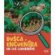 BUSCA Y ENCUENTRA EN LOS LABERINTOS